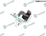 DRM121110 AGR-Ventil Dr.Motor Automotive