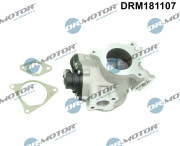 DRM181107 AGR-Ventil Dr.Motor Automotive