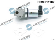 DRM211107 AGR-Ventil Dr.Motor Automotive