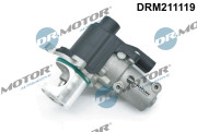 DRM211119 AGR-Ventil Dr.Motor Automotive