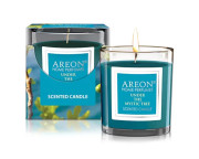 CR06 Vonná svíčka AREON SCENTED CANDLE - Under the Mystic Tree Areon 