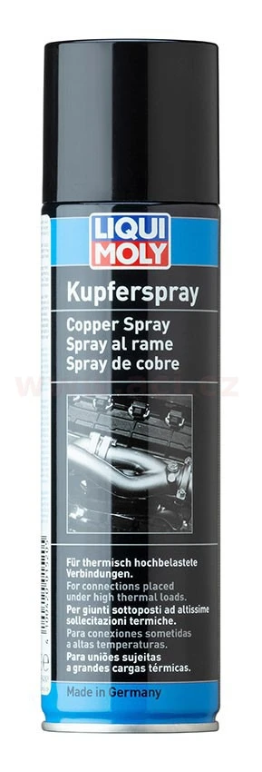 LI 1520 LIQUI MOLY MĚĎ VE SPREJI 250 ml ACI