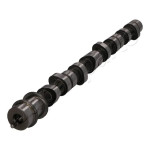 JAPANPARTS Vačkový hřídel  (AA-HY005)
