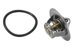 BorgWarner (Wahler) Termostat, chladivo  (3167.83D)